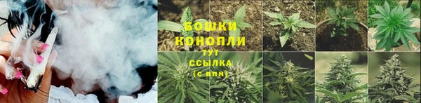 прущие грибы Нягань